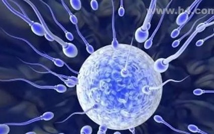 试管婴儿在马来西亚的优势和劣势：你该如何做出选择？