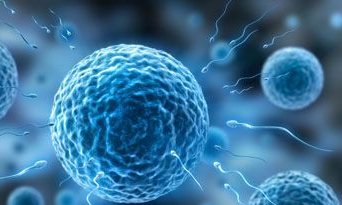 在万源市做试管婴儿长方案周期需要多久？超长方案促排流程是怎么样的？