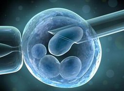 试管婴儿中的打夜针是指什么？试管婴儿打夜针出现不适状况应当如何处理？