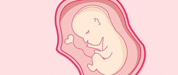 在德州的私立生殖中心做试管婴儿安全吗？费用是不是很贵？