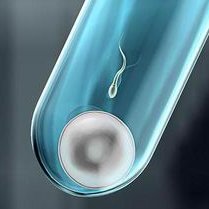 子宫纵隔生育困难可以在乌鲁木齐市做三代试管吗？子宫有问题做试管的成功率高吗？