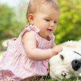 不孕不育在郴州市做试管的费用有多少？一文告诉你做三代试管建档的流程有哪些