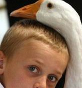 珠海试管婴儿医院选择指南：如何找到可靠的医疗机构？