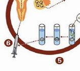 吉林省延边妇幼保健院做三代试管成功率如何？一文读懂需要花多少钱