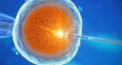 恩施州中心医院做三代试管成功率如何？一文读懂需要花多少钱