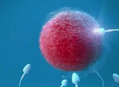 广州地区有哪些私立的机构可以做试管技术？广州三代试管好的私立医院已出炉