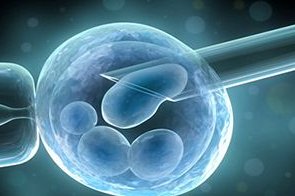 还不了解试管拮抗剂方案！8个问题让你“秒懂”