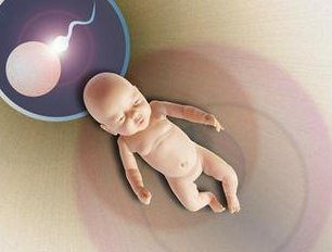 防骗指南：看我是如何自己预约BNH医院的