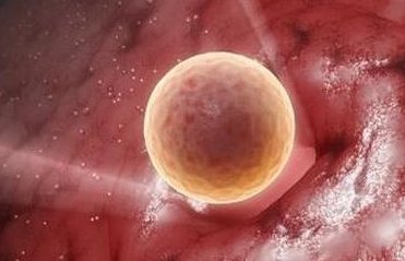 详解国外马来西亚试管婴儿的价格及支付方式，你准备好了吗？